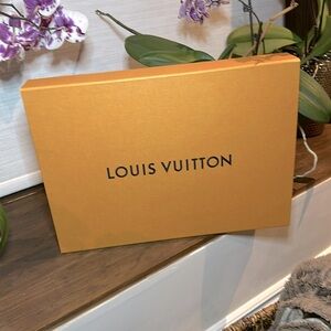 Louis Vuitton Medium Box